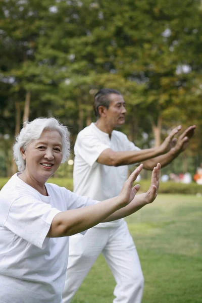 Oudere Echtpaar Oefenen Tai Chi Het Park — Stockfoto