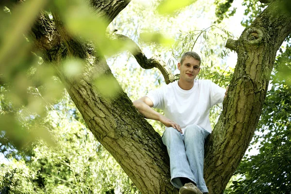 Adolescente Sentado Topo Uma Árvore — Fotografia de Stock