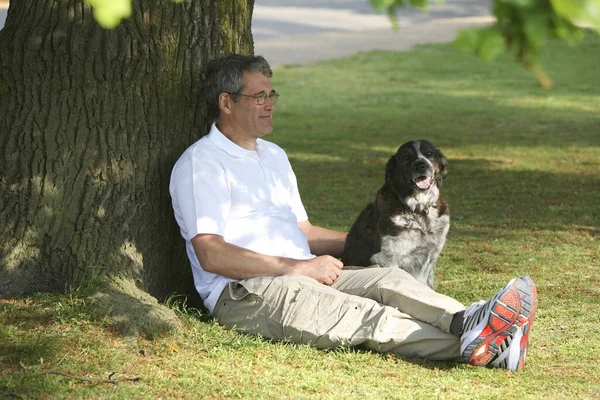 老人は犬と公園でリラックス — ストック写真