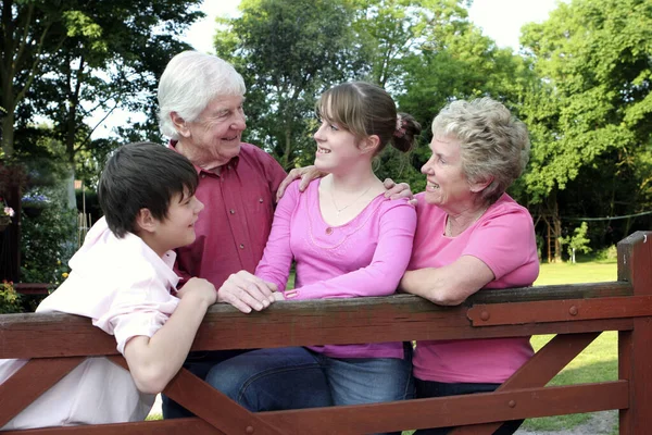 Una Pareja Ancianos Hablando Con Sus Nietos Jardín —  Fotos de Stock