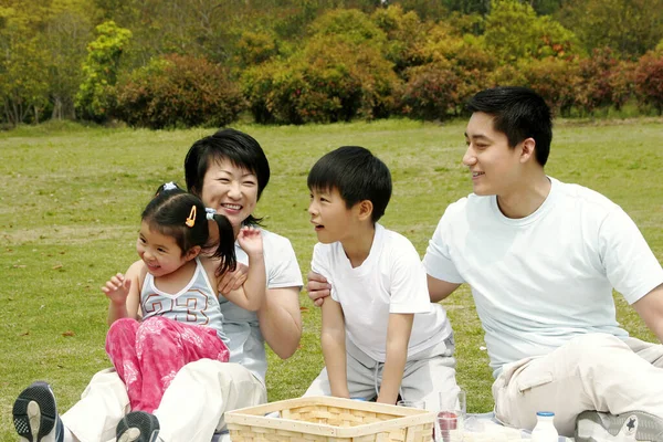 Pique Nique Familial Dans Parc — Photo