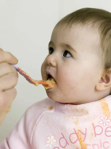 Bébé Nourri Avec Des Aliments Pour Bébés — Photo