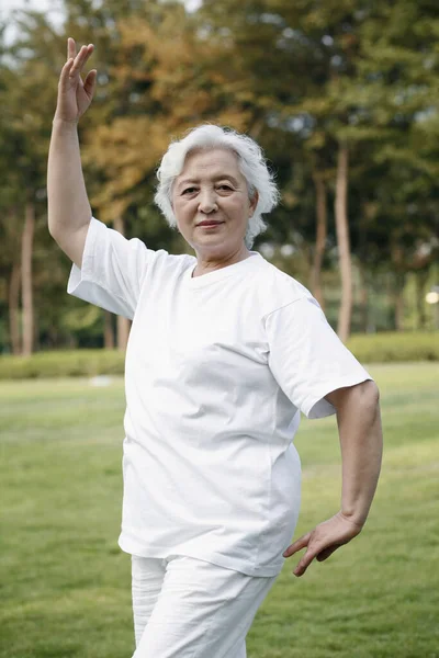 Senior Mulher Praticando Tai Chi Parque — Fotografia de Stock