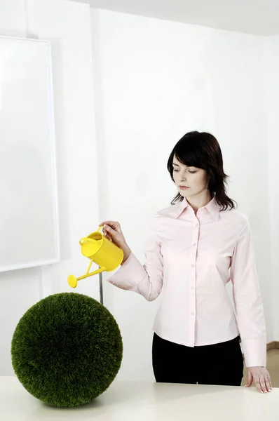 Geschäftsfrau Gießt Eine Runde Pflanze — Stockfoto
