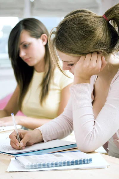 Girls Doing Assignment Room — Stock Photo, Image