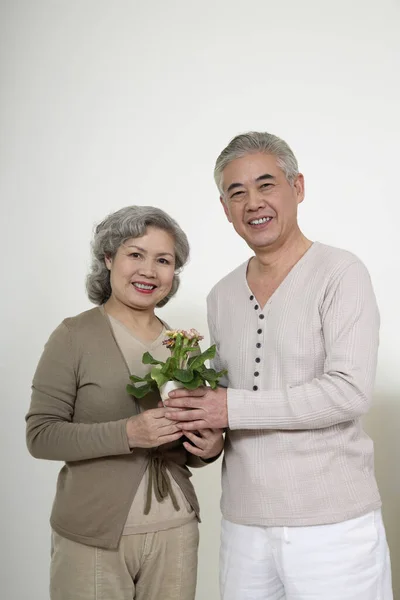 Senior Man Geven Senior Vrouw Een Potplant — Stockfoto