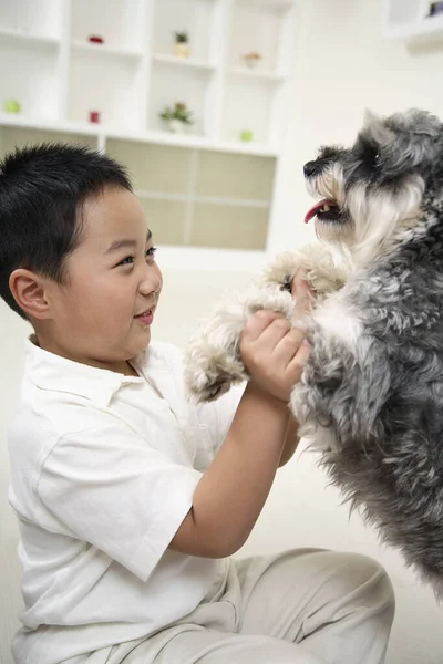 犬と遊ぶ男の子 — ストック写真
