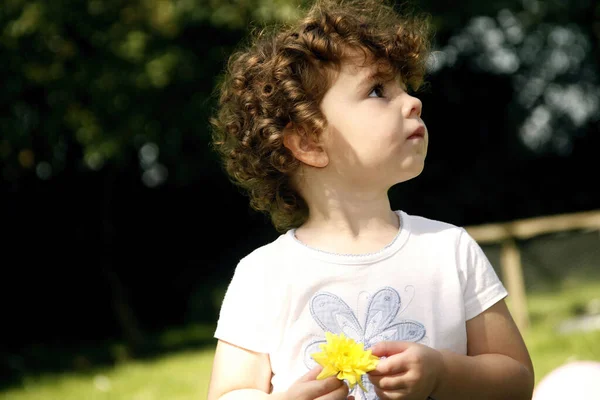 Nettes Kleines Mädchen Steht Park Und Hält Gelbe Blume — Stockfoto