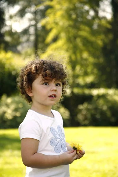 Nettes Kleines Mädchen Steht Park Und Hält Gelbe Blume — Stockfoto