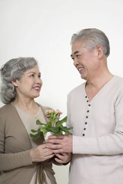 Uomo Anziano Dando Donna Anziana Una Pianta Vaso — Foto Stock