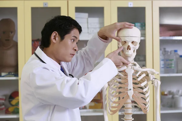 Doctor Examinando Modelo Esqueleto Humano — Foto de Stock