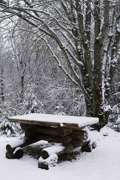 Vinter Scen Skogen — Stockfoto