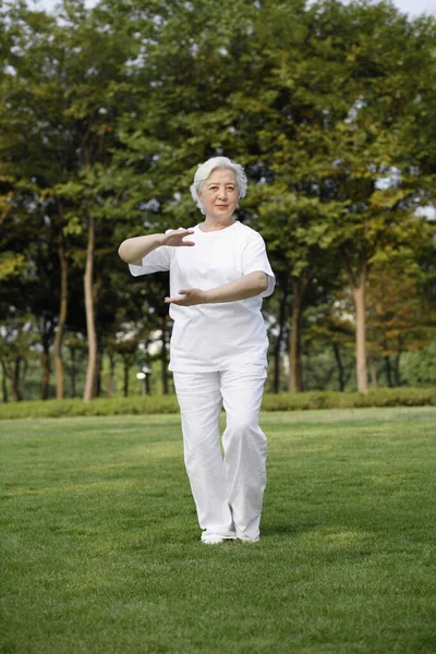 Oudere Vrouw Die Tai Chi Beoefent Het Park — Stockfoto