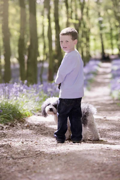 Pojke Och Hund Tar Promenad Skogen — Stockfoto