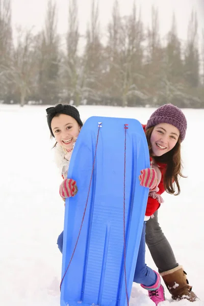 两个姑娘准备去坐雪橇 — 图库照片