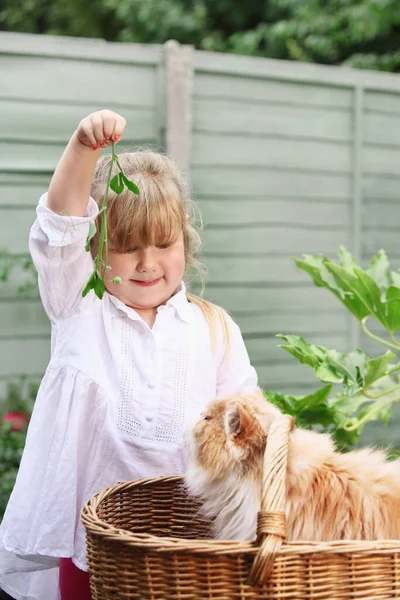 Flicka Leker Med Husdjur Katt — Stockfoto