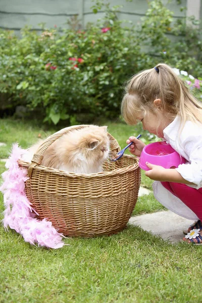 Girl feeding pet cat with a spoon