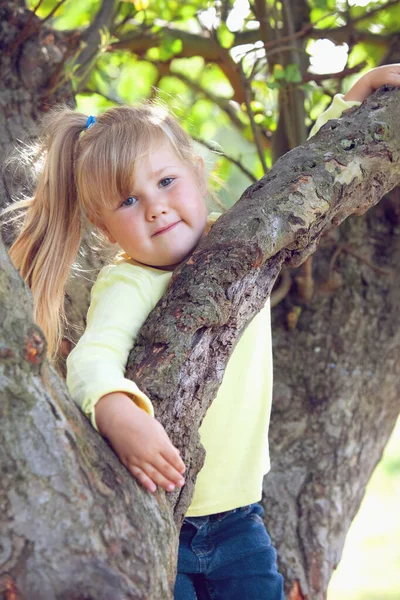 Mädchen Klettert Auf Baum — Stockfoto