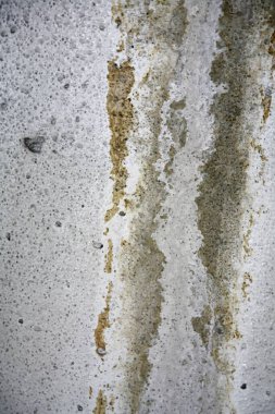 Lekeli duvar yakın görüntüsü