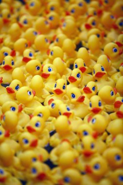 Lastik ördekler yakın çekim görüntüsü