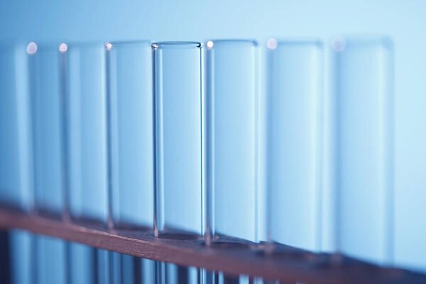 Test tubes on rack close-up view