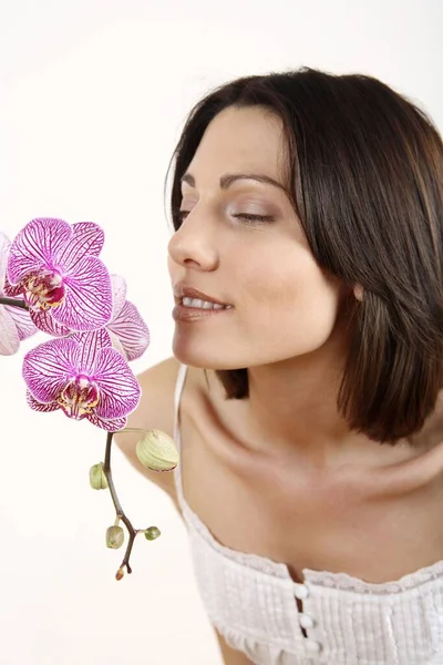 Orchideaszagú Fiatal — Stock Fotó