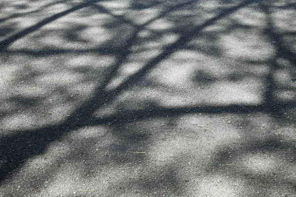 Morning Shadows Road Close View — Stock Photo, Image