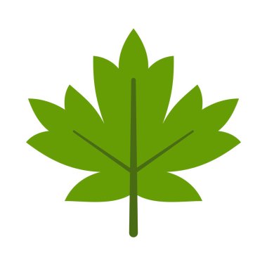 Yeşil Akçaağaç Yaprağı simgesi beyaz arkaplanda izole edildi. Vektör illüstrasyonu