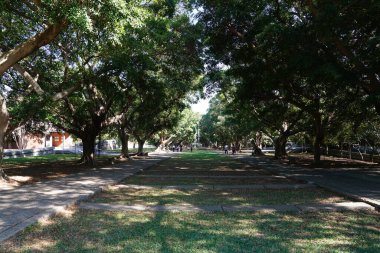 Taichung, Tayvan - 4 Kasım 2018: Tunghai Üniversitesi 'ndeki bahçe manzarası.