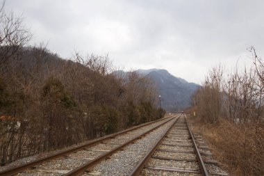 Gangchon Demiryolu Parkı, Chuncheon, Güney Kore - 15 Şubat 2019: Ziyaretçiler için tren vagonu tema parkında eski demiryolu rayları boyunca seyahat etmek. 