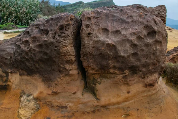 YEHLIU GEOPARK, Taipei, TAIWAN. Kafasının kesilmesi riskiyle karşı karşıya olan ikonik 