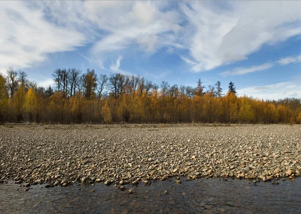 Tayga orman bölgesine keşif gezisi