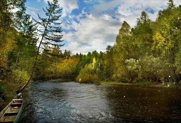Tayga orman bölgesine keşif gezisi