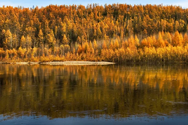 Tayga orman bölgesine keşif gezisi