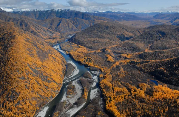 Vista superior do rio taiga — Fotografia de Stock