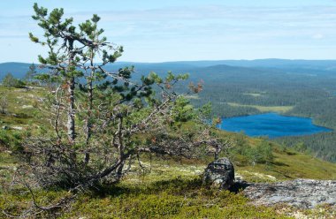 Büyük Taiga göl manzarası yukarıdan