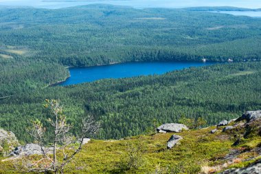 Büyük Taiga göl manzarası yukarıdan