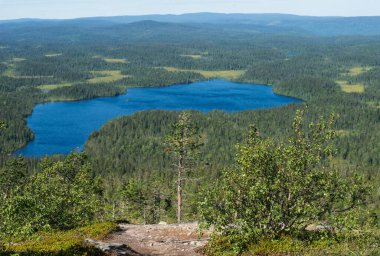 Büyük Taiga göl manzarası yukarıdan