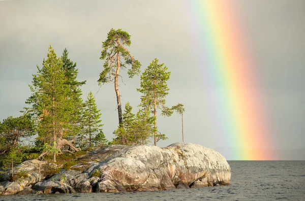 Bright rainbow - Atmospheric meteorology phenomenon — Stock Photo, Image