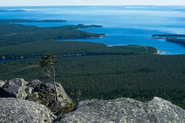Büyük Taiga göl manzarası yukarıdan