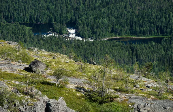 Grand taiga vista lago de cima — Fotografia de Stock