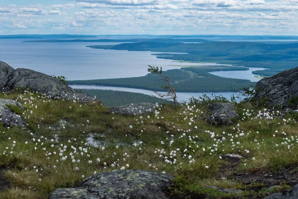 Büyük Taiga göl manzarası yukarıdan