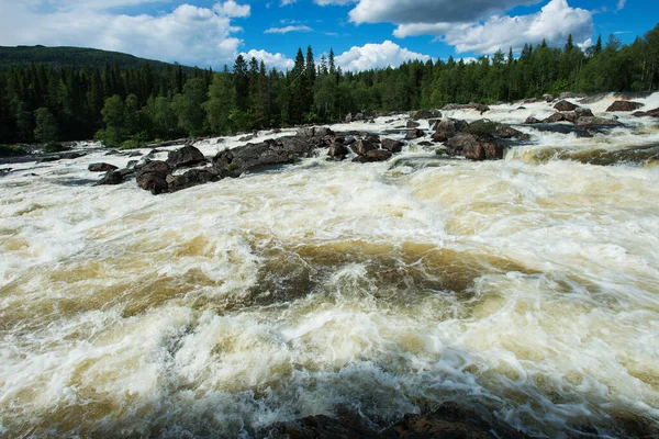 Büyük orman şelalesi İskandinavya 'yı bitirdi.