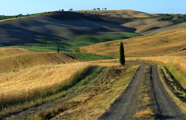 Toscana hills. Unesco heritage preserve