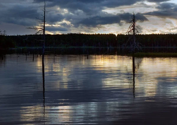 Bílé noci nad klidným nordickým jezerem — Stock fotografie