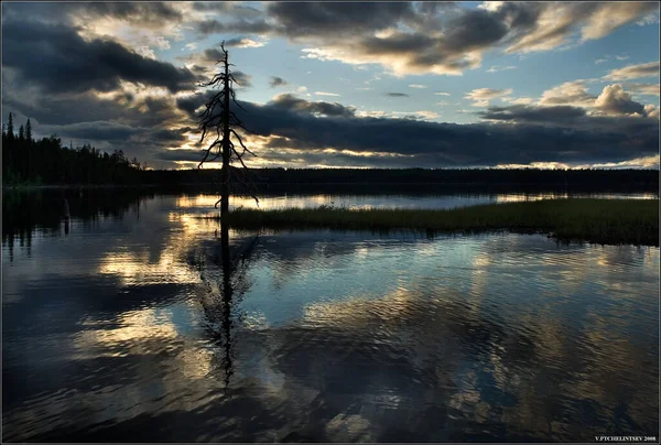 Sakin İskandinav Orman Gölü üzerinde beyaz geceler