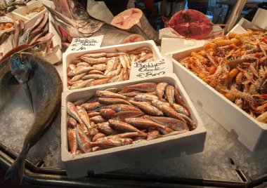 Garda Gölü 'nün Doğası - İtalya