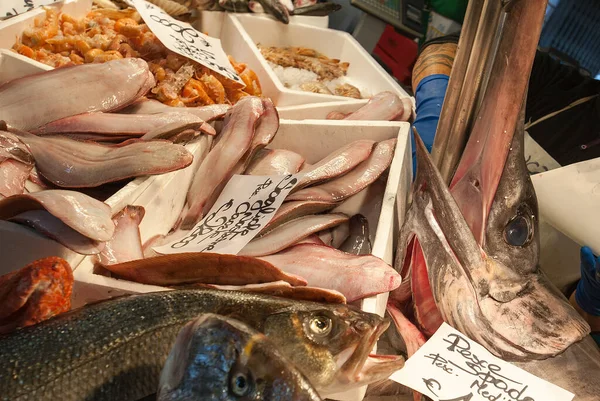 Garda Gölü 'nün Doğası - İtalya