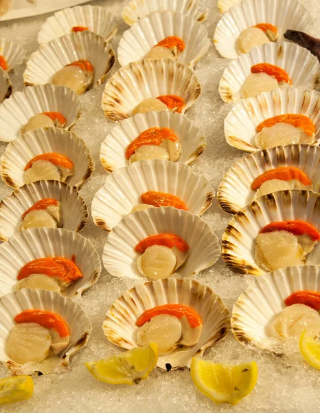 Garda Gölü 'nün Doğası - İtalya