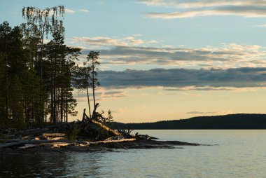 Sakin İskandinav Orman Gölü üzerinde beyaz geceler